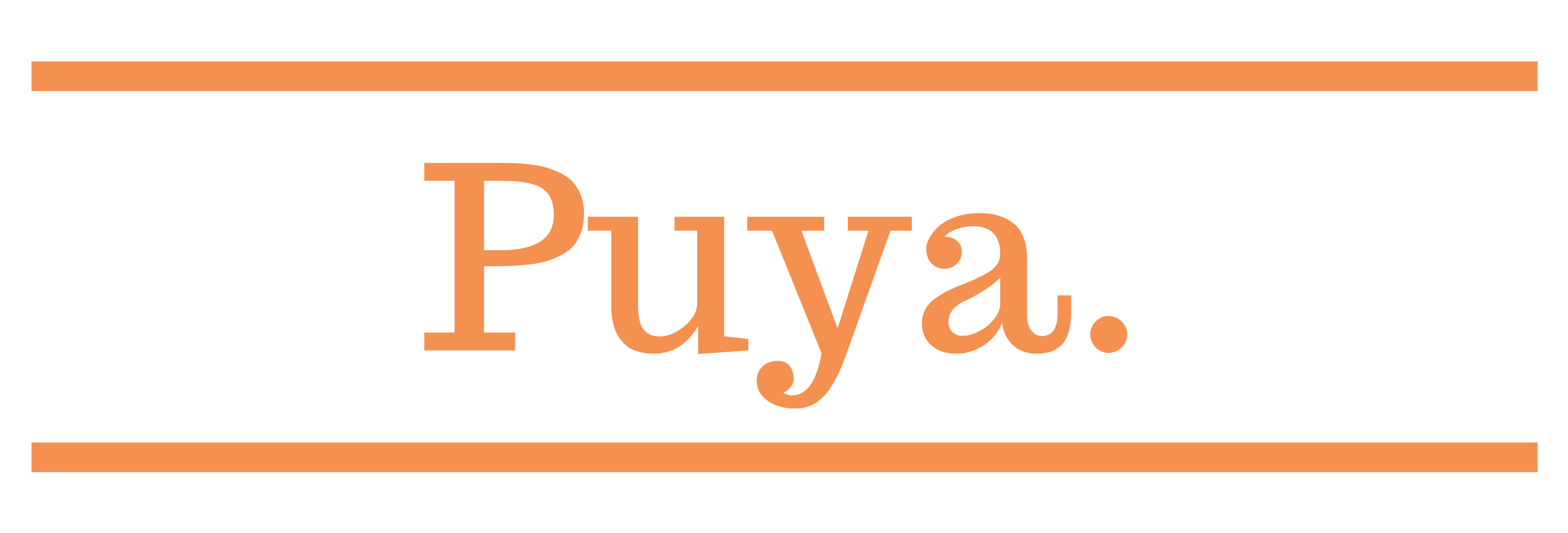 Puya Store